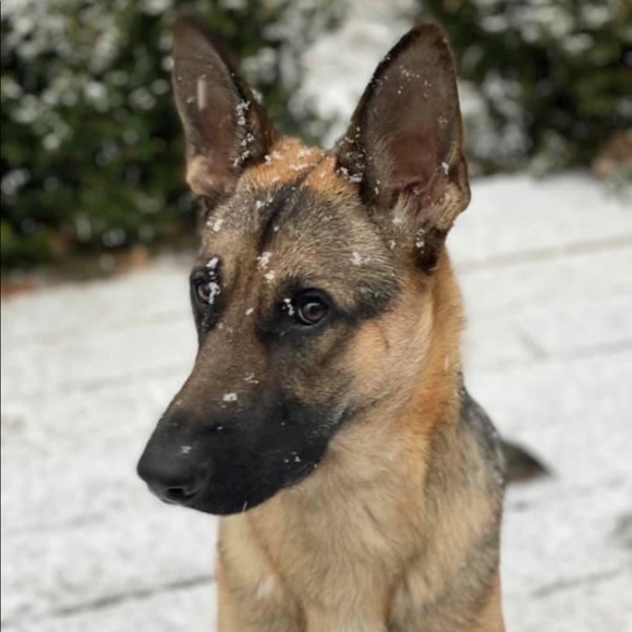 Meet your Posher, Jeremy - Picture 2 of 5